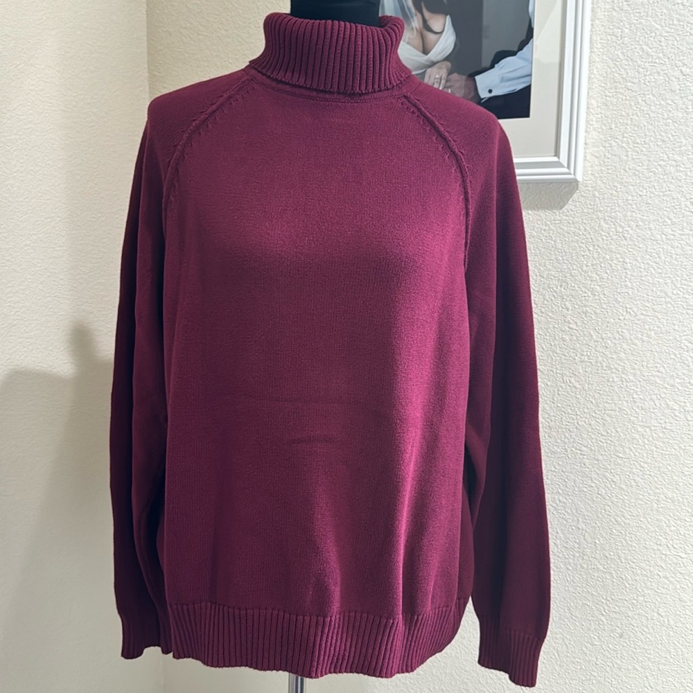 Karen Scott turtleneck sweater